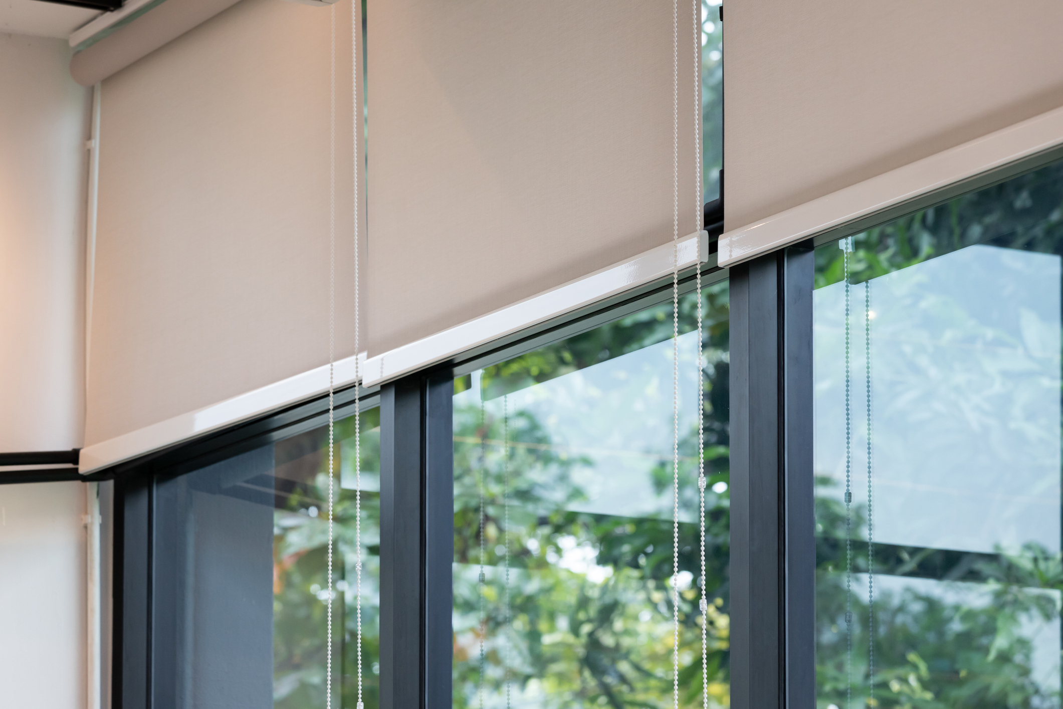 White roller blinds with garden view